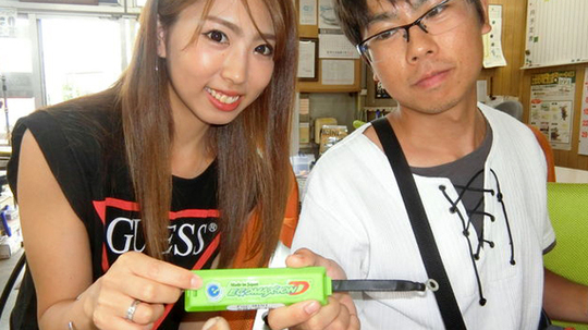 エコマックスイオン,ローバーミニ,クラシックミニ,キャメルオート,東京都,八王子